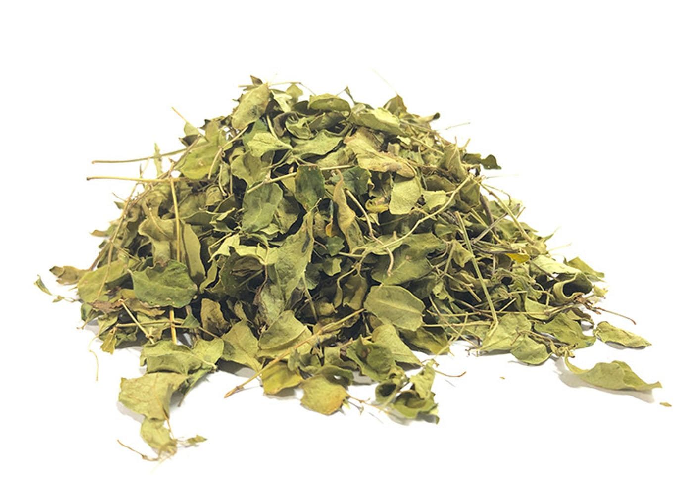 Moringa leaf superfood rich in iron, protein, antioxidants, ideal for tea, powder, and daily wellness support natural use