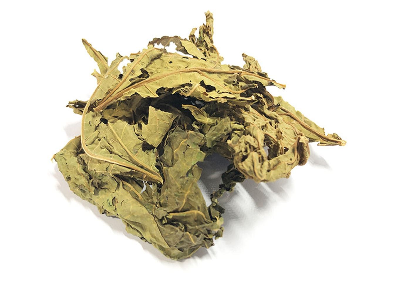 Papaya Leaf